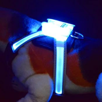 Animal de estimação Fabricação Ajustável Led Professional Harness Dog Novo 2020favorites LED Pet Cachorro Gato Chicote de Trela e Reflexiva Luzes